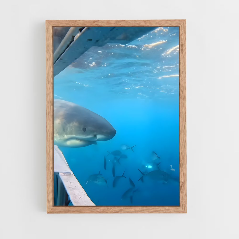 Poster Rencontres Maritimes – affiche Plongée sous-marine (vue 4)